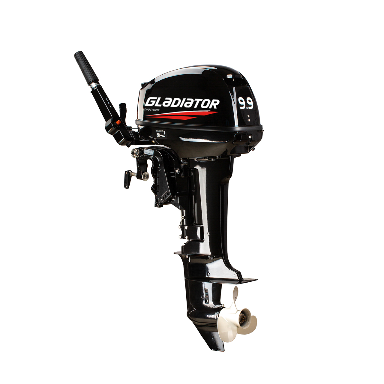 ЛОДОЧНЫЙ МОТОР GLADIATOR G9.9FHS в Долгопрудном