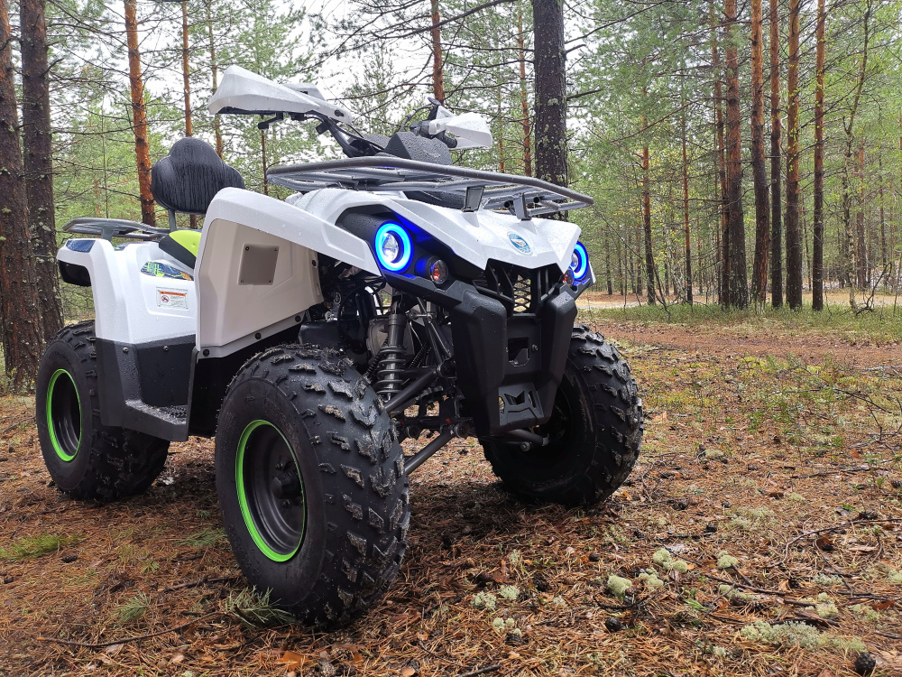 Квадроцикл PROMAX RENEGADE 280 (2025) в Долгопрудном