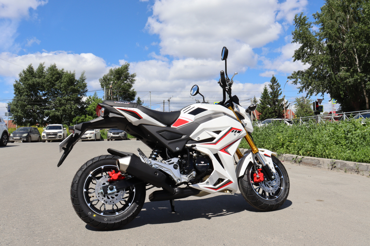 Мотоцикл PROMAX STRYKER 200(49) 2.0 в Долгопрудном