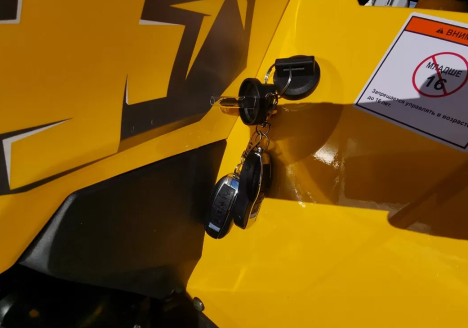 Квадроцикл MOTOLAND (МОТОЛЕНД) VOX200 WILD TRACK X PRO (баланс. вал) в Долгопрудном