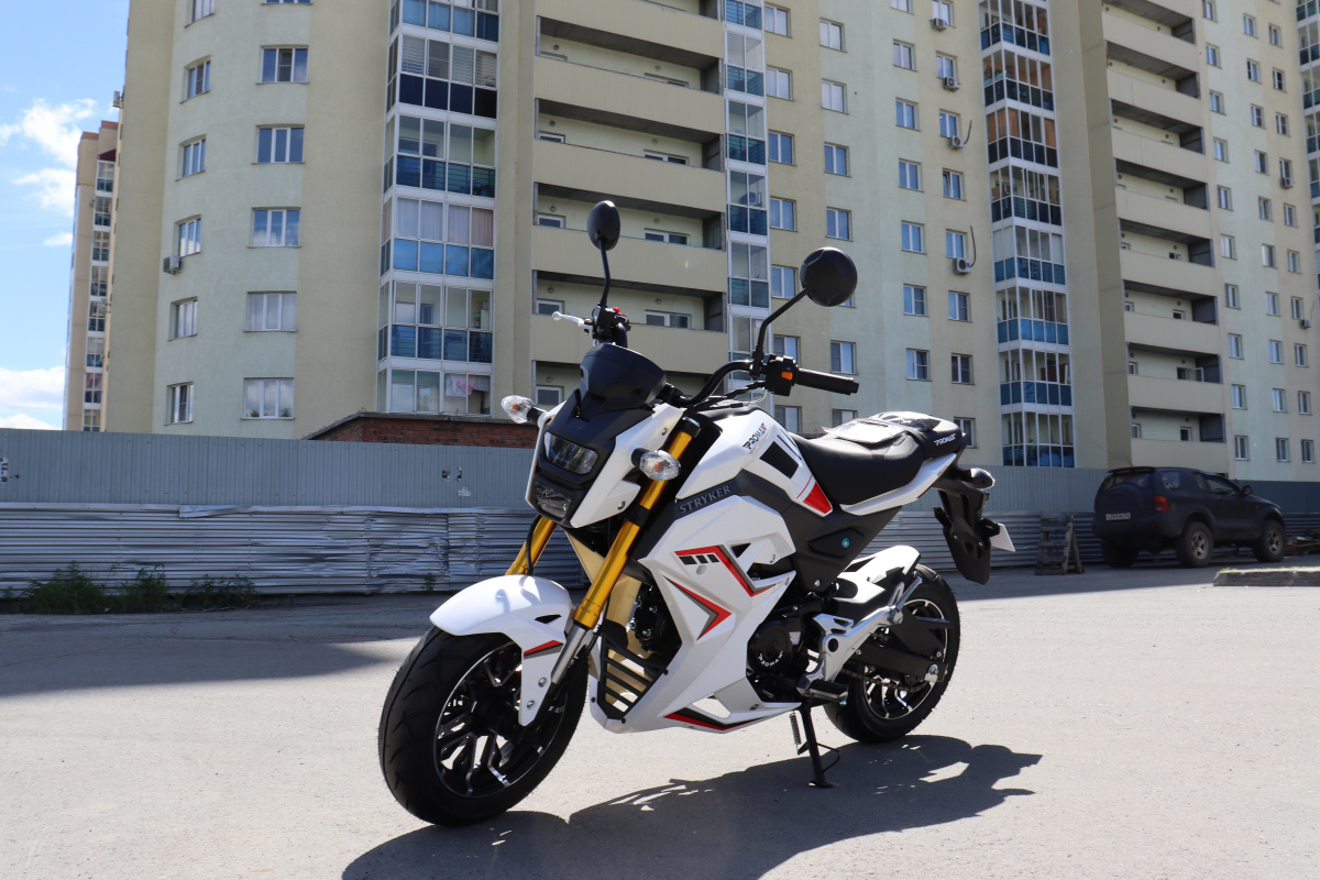 Мотоцикл PROMAX STRYKER 200(49) 2.0 в Долгопрудном