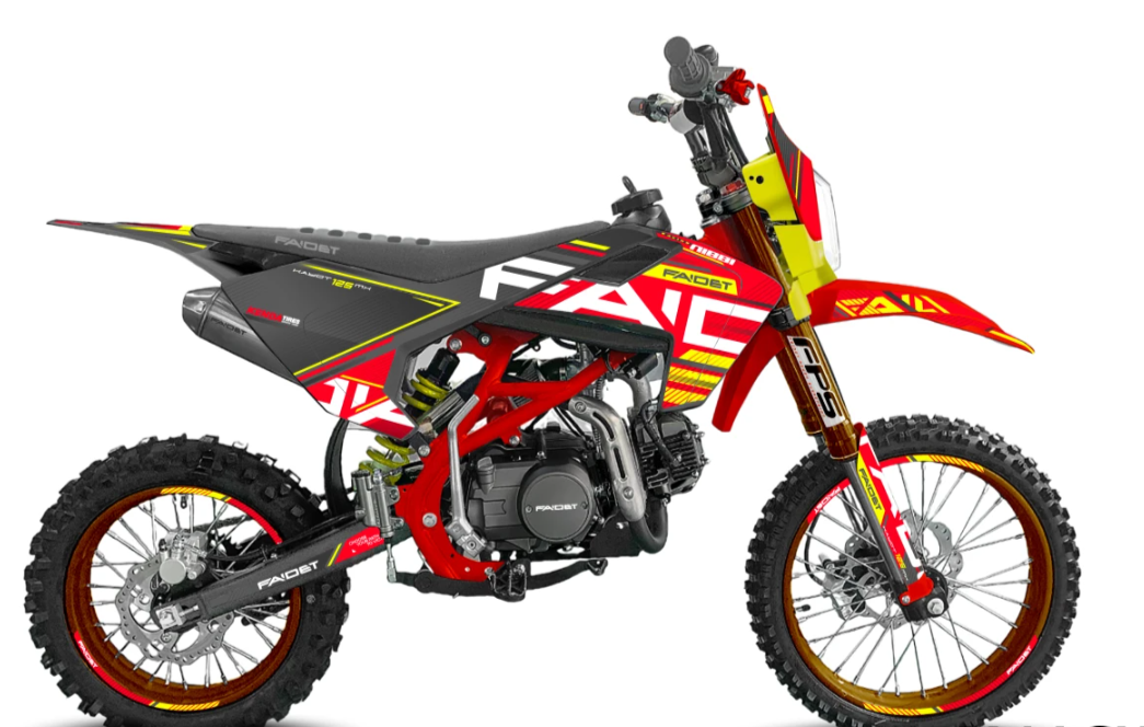 Питбайк FAIDET KAYOT 150E-PRO 19/16 в Долгопрудном