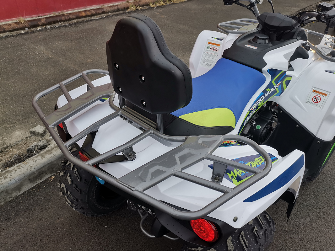 Квадроцикл PROMAX RENEGADE 280 LUX (2025) в Долгопрудном