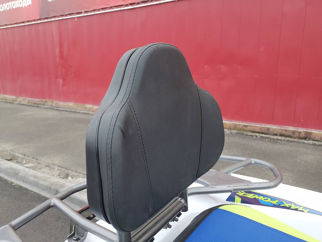 Квадроцикл PROMAX RENEGADE 280 LUX (2025) в Долгопрудном