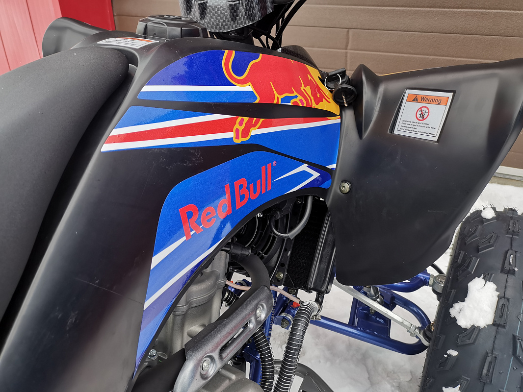 Квадроцикл PROMAX RAPTOR 300 NEW RedBull в Долгопрудном