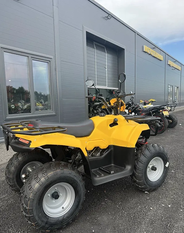 КВАДРОЦИКЛ IRBIS ATV 250  в Долгопрудном