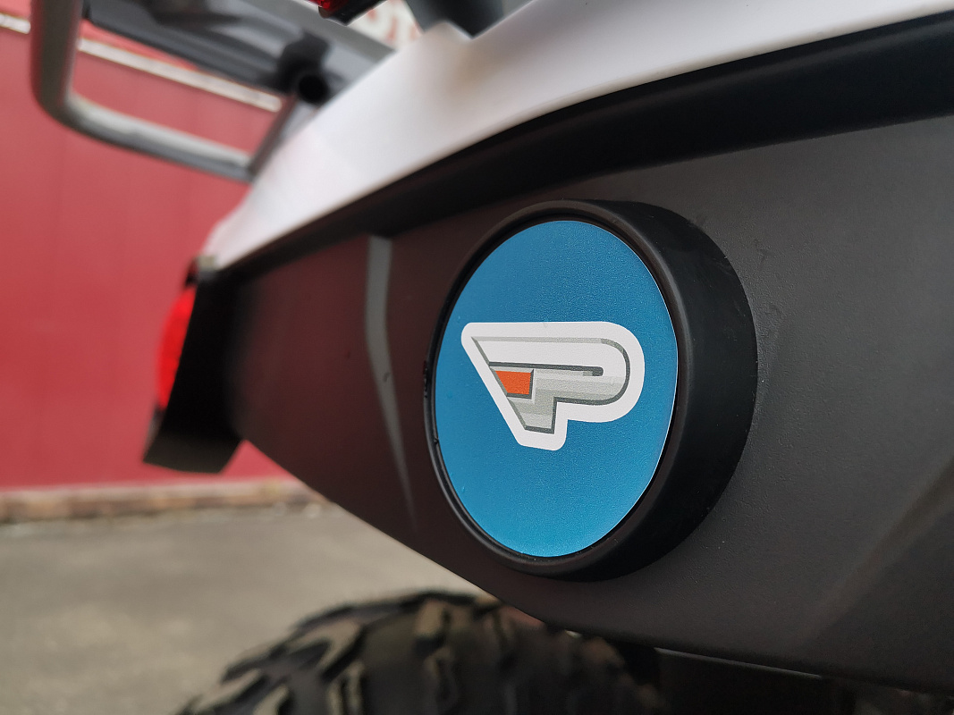 Квадроцикл PROMAX RENEGADE 280 LUX (2025) в Долгопрудном