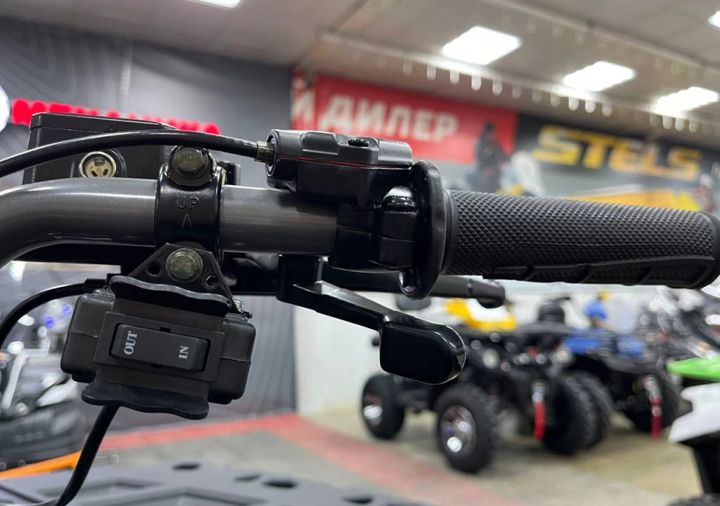 Квадроцикл PROMAX RENEGADE 300 LONG WINCH PRO (2025) в Долгопрудном