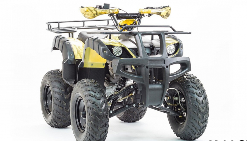 Квадроцикл MOTOLAND (МОТОЛЕНД) 250 ADVENTURE в Долгопрудном