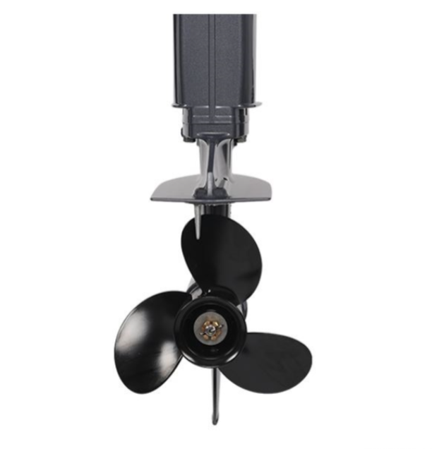 Лодочный мотор ALLFA CG Т40FW S в Долгопрудном