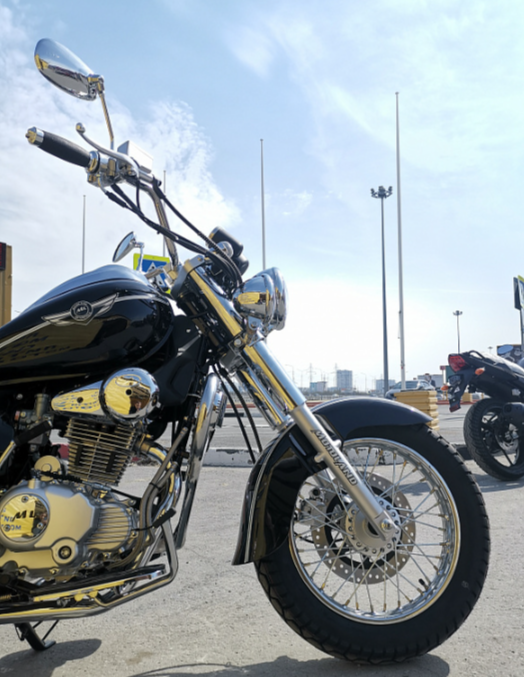 Мотоцикл MOTOLAND (МОТОЛЕНД) WOLF 250 в Долгопрудном