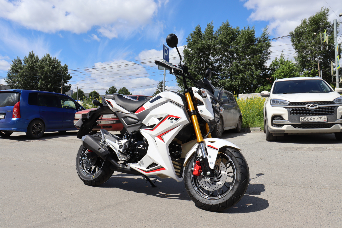 Мотоцикл PROMAX STRYKER 200(49) 2.0 в Долгопрудном