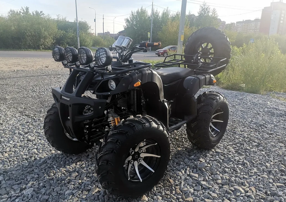 Квадроцикл PROMAX LEO 300 Max (кардан) в Долгопрудном