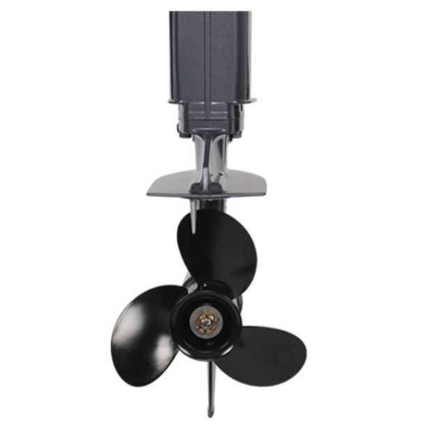 Лодочный мотор ALLFA CG Т40FWT S в Долгопрудном