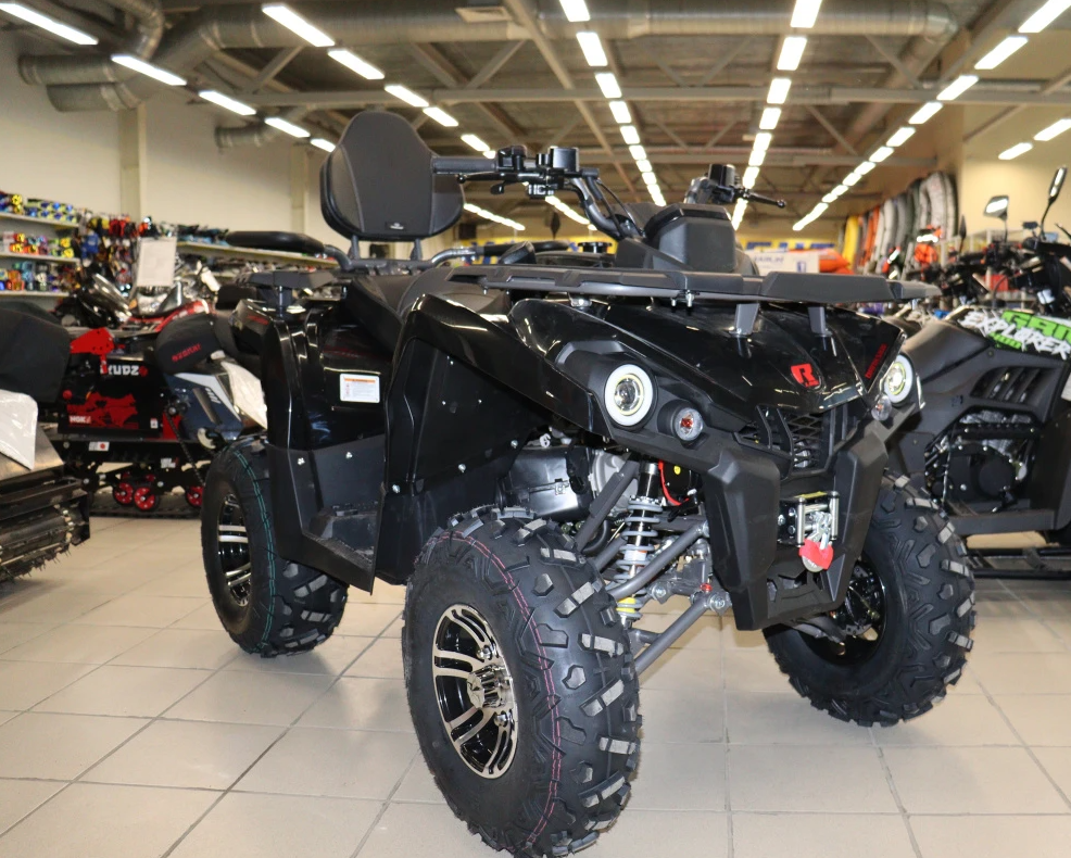 Квадроцикл PROMAX RENEGADE 300 LONG WINCH PRO (2025) в Долгопрудном