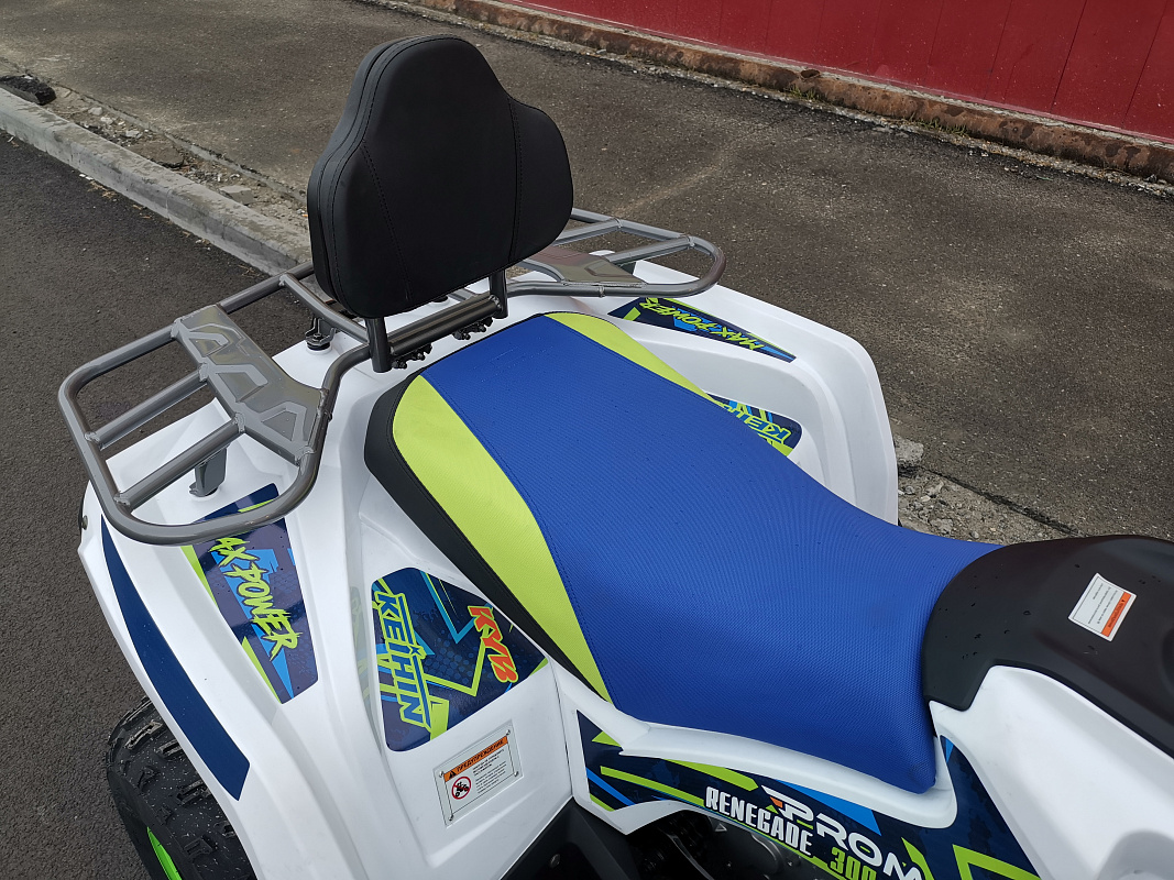 Квадроцикл PROMAX RENEGADE 280 LUX (2025) в Долгопрудном