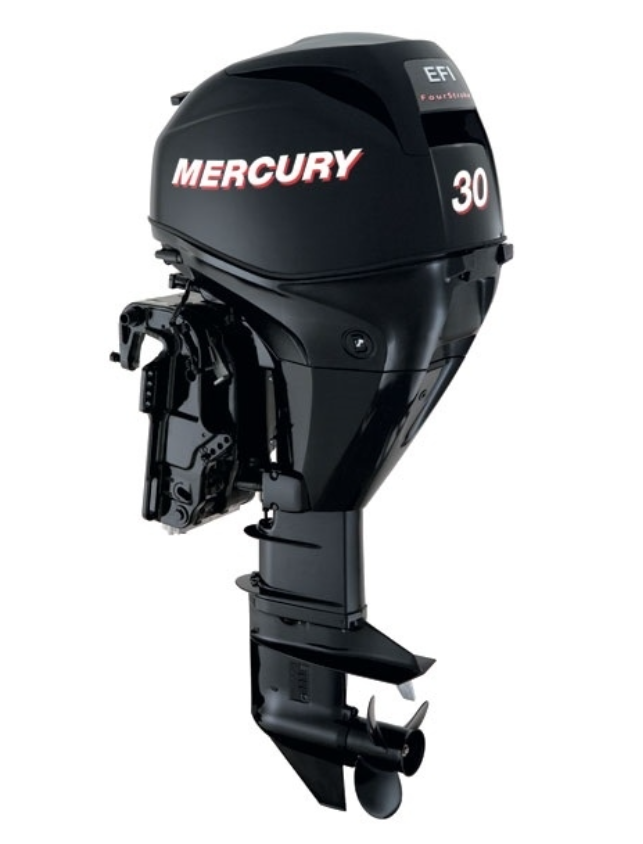 ЛОДОЧНЫЙ МОТОР MERCURY  F 30 ELH GA EFI в Долгопрудном