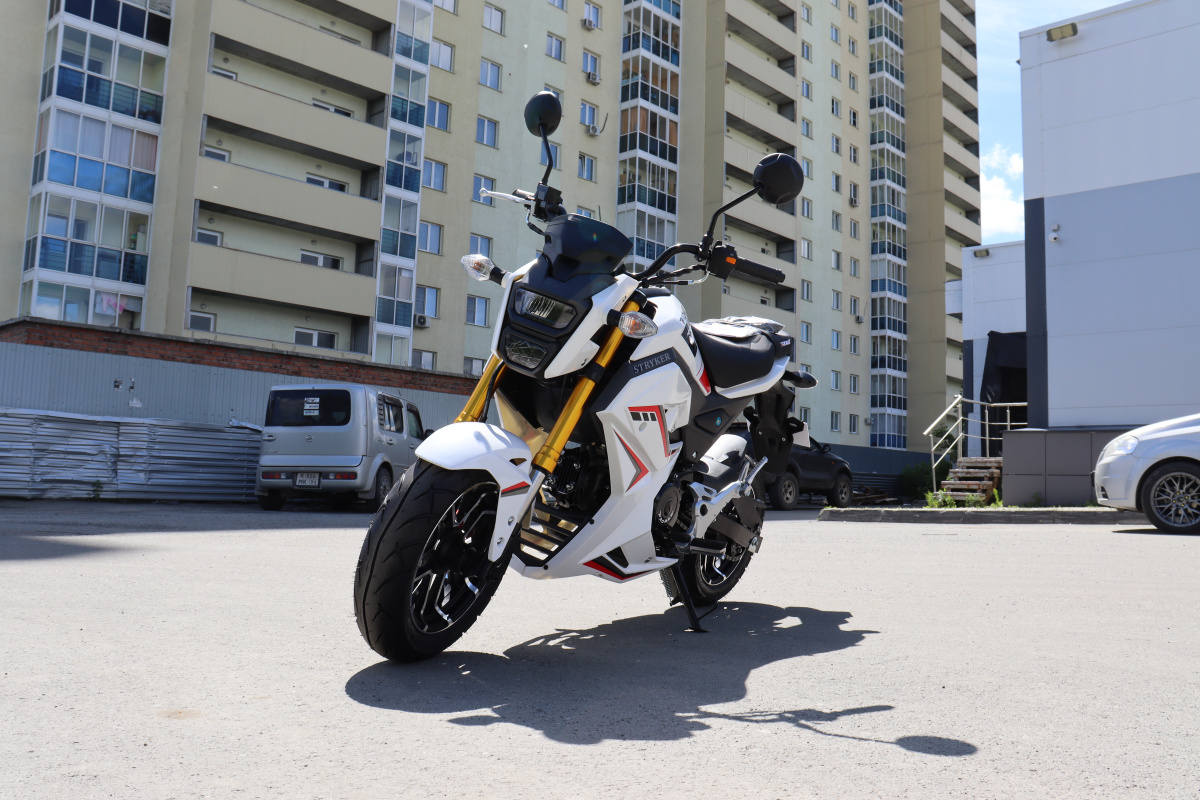 Мотоцикл PROMAX STRYKER 200(49) 2.0 в Долгопрудном