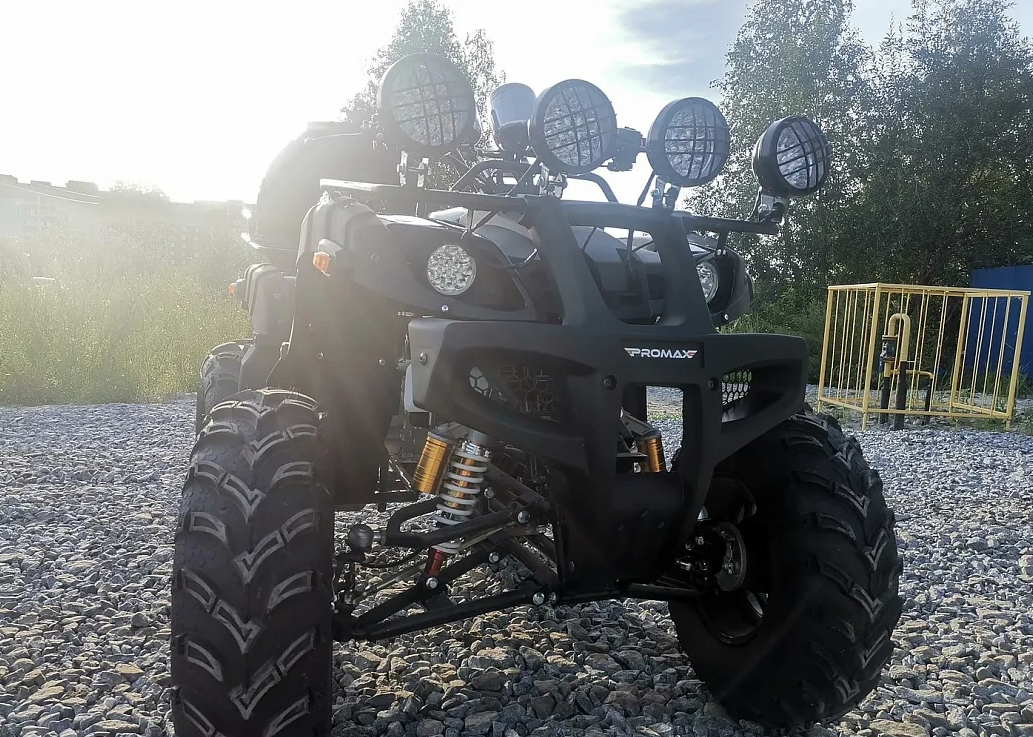Квадроцикл PROMAX LEO 300 Max (кардан) в Долгопрудном