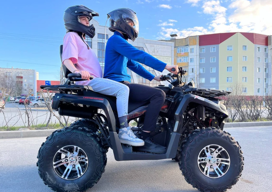 Квадроцикл PROMAX RENEGADE 300 LONG WINCH PRO (2025) в Долгопрудном