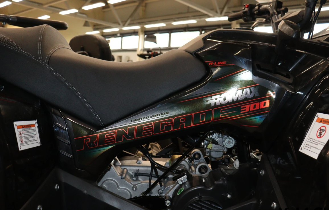 Квадроцикл PROMAX RENEGADE 300 LONG WINCH PRO (2025) в Долгопрудном
