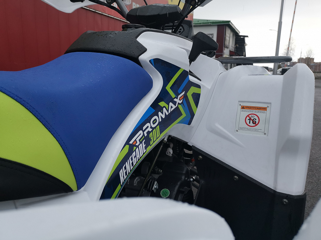 Квадроцикл PROMAX RENEGADE 280 LUX (2025) в Долгопрудном