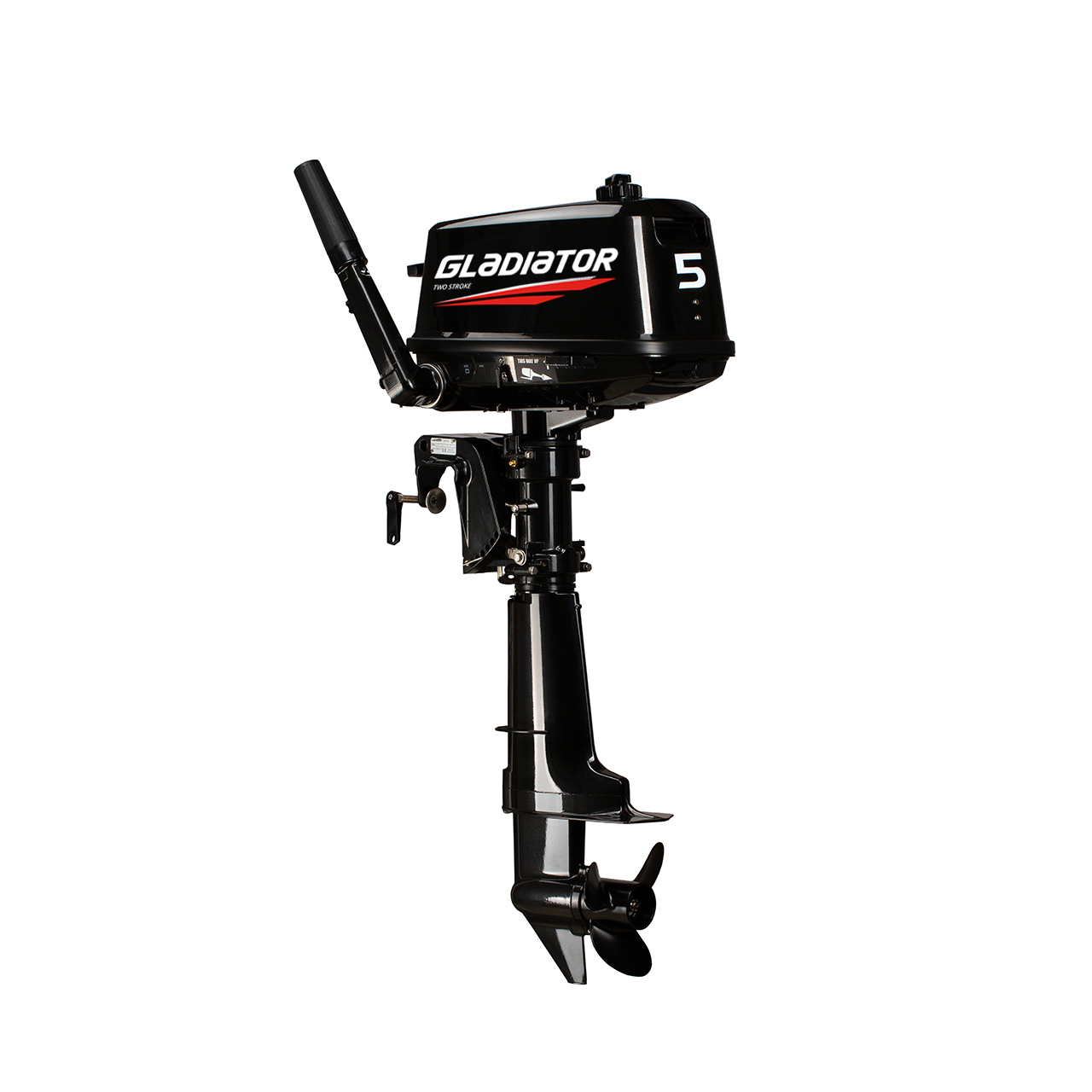 ЛОДОЧНЫЙ МОТОР GLADIATOR G5FHS в Долгопрудном