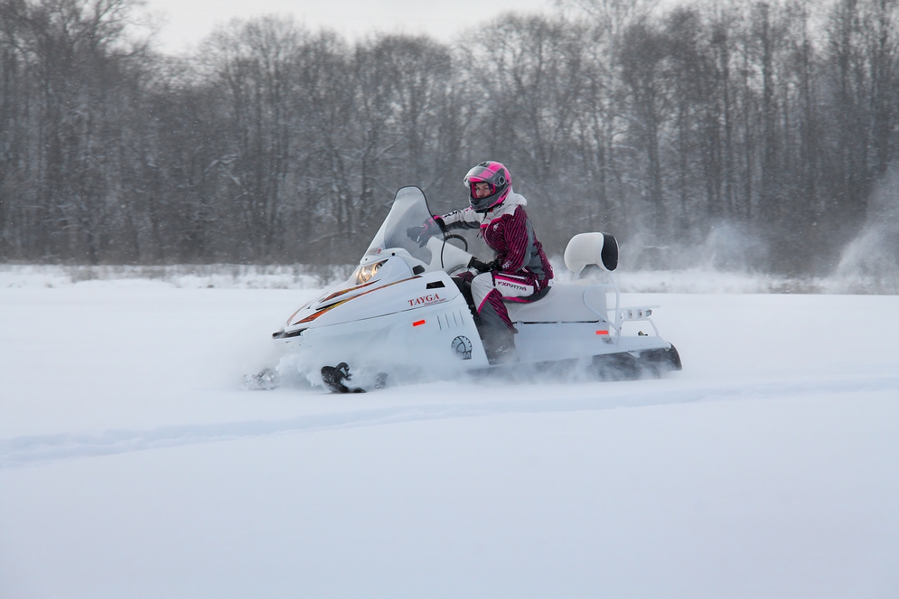 СНЕГОХОД РМ ТАЙГА ПАТРУЛЬ 551 SWT в Долгопрудном