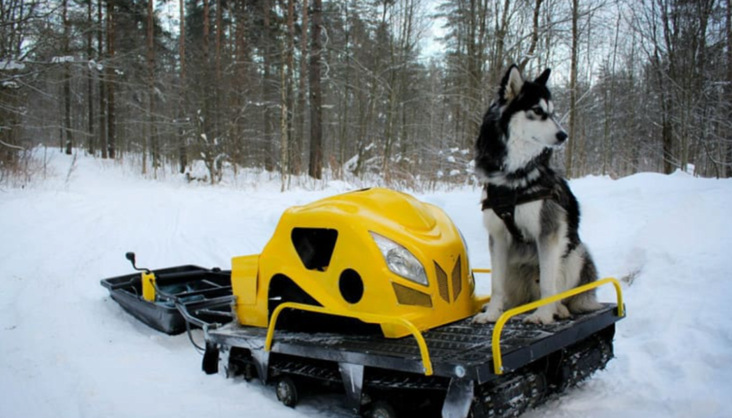 Мотобуксировщик LEBEDEV MOTORS ВОЛКОДАВ POWER V13 в Долгопрудном