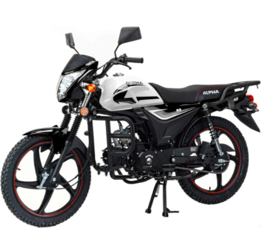Мопед MOTOLAND (МОТОЛЕНД) Альфа RS 11 (LM48-B) в Долгопрудном
