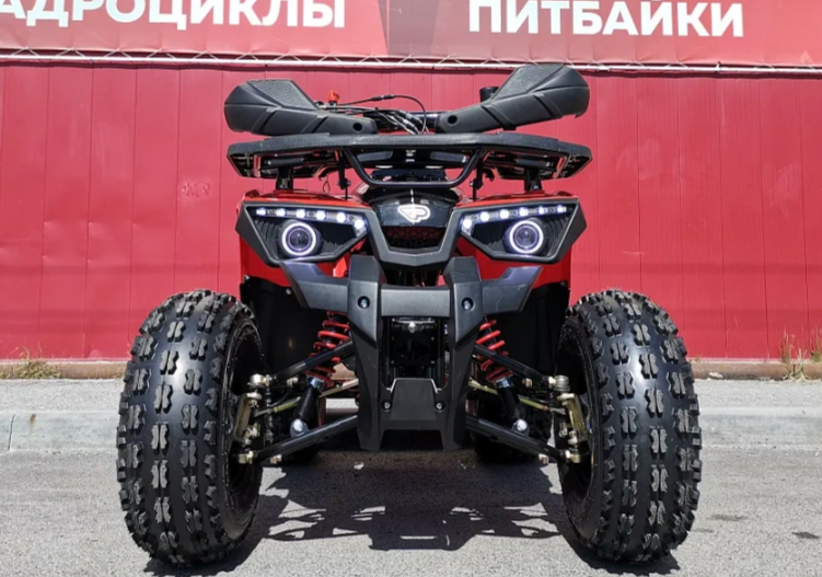 Квадроцикл PROMAX WILD 175 BASIC в Долгопрудном