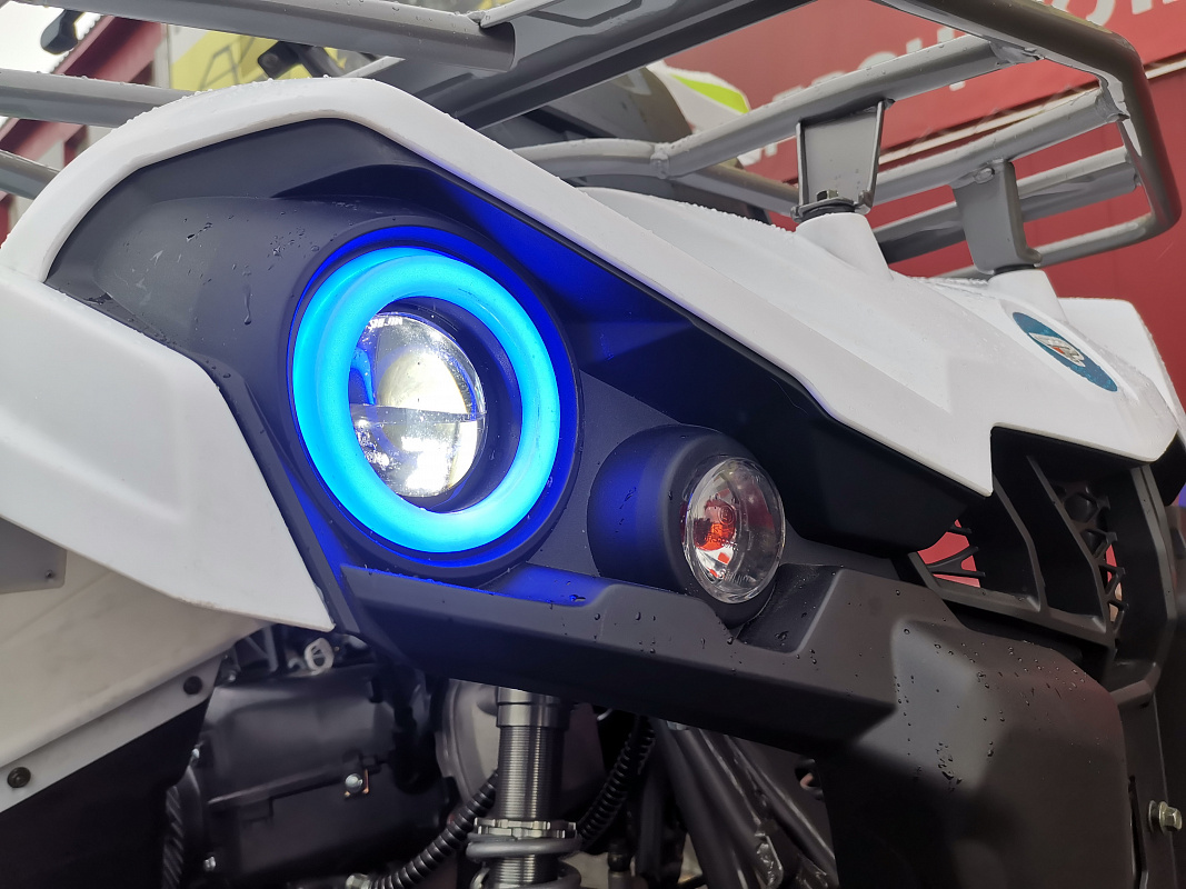 Квадроцикл PROMAX RENEGADE 280 LUX (2025) в Долгопрудном