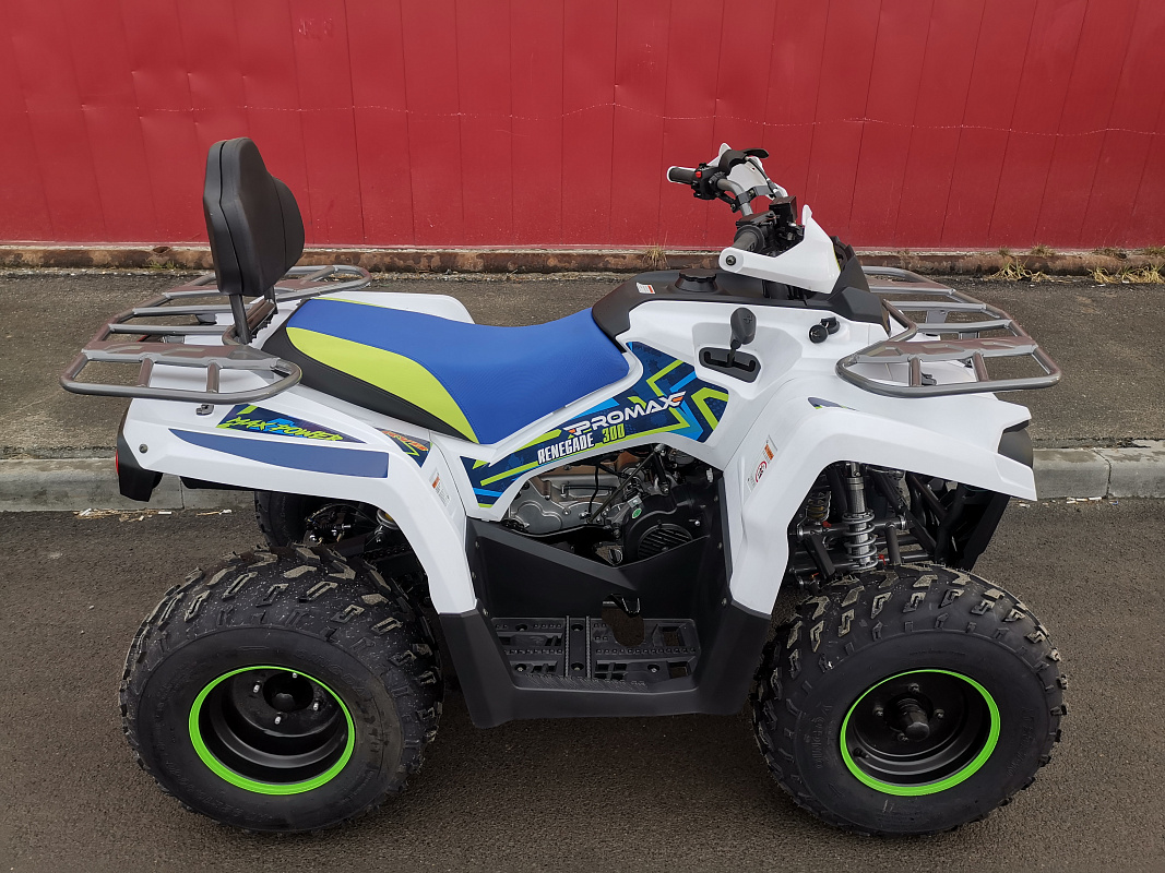 Квадроцикл PROMAX RENEGADE 280 LUX (2025) в Долгопрудном