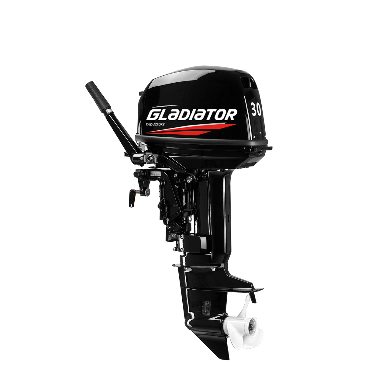 ЛОДОЧНЫЙ МОТОР GLADIATOR G30FHS в Долгопрудном