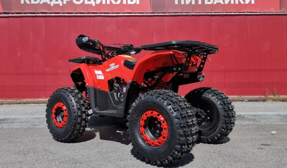 Квадроцикл PROMAX WILD 175 BASIC в Долгопрудном