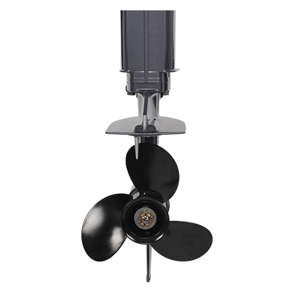 ЛОДОЧНЫЙ МОТОР ALLFA CG T30 FW S в Долгопрудном