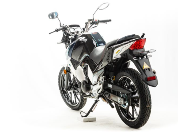 Мотоцикл MOTOLAND (МОТОЛЕНД) FIGHTER 250 в Долгопрудном