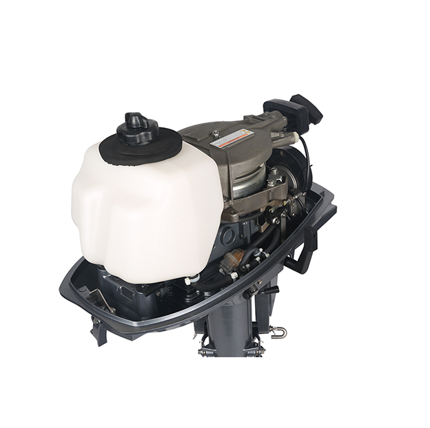 ЛОДОЧНЫЙ МОТОР ALLFA CG T5 в Долгопрудном