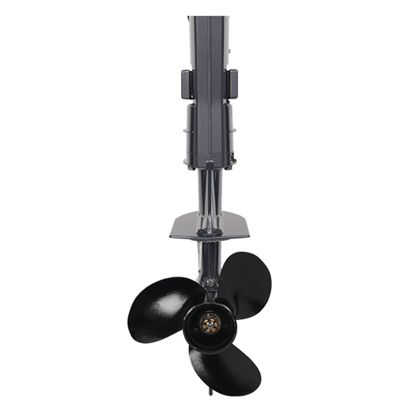 ЛОДОЧНЫЙ МОТОР ALLFA CG T5 в Долгопрудном