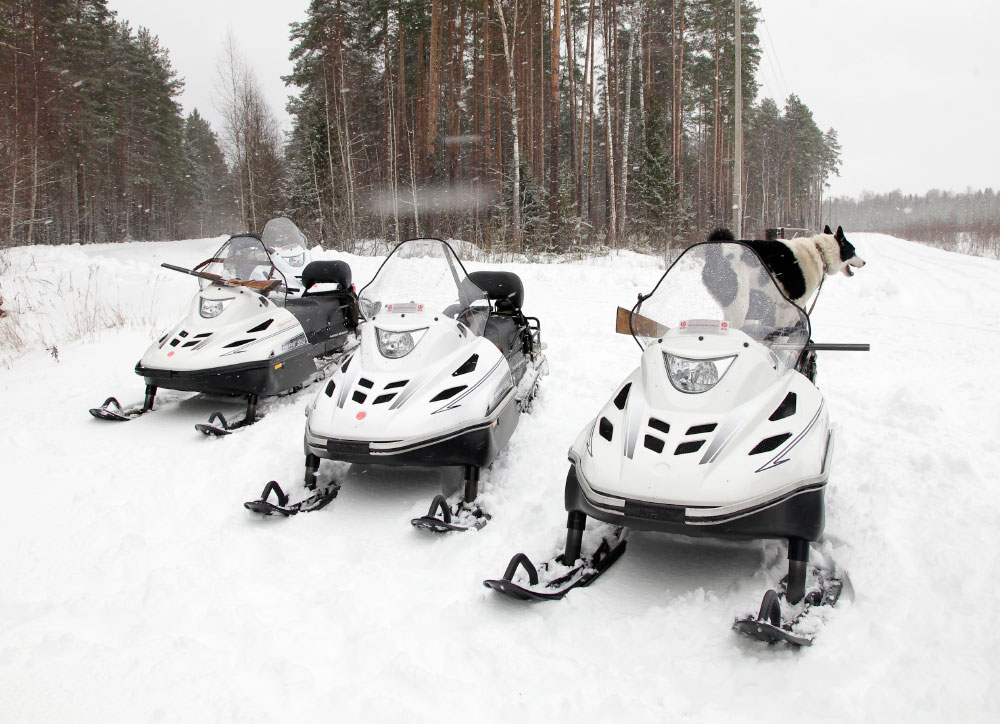 СНЕГОХОД РМ ТАЙГА ВАРЯГ 550 V в Долгопрудном