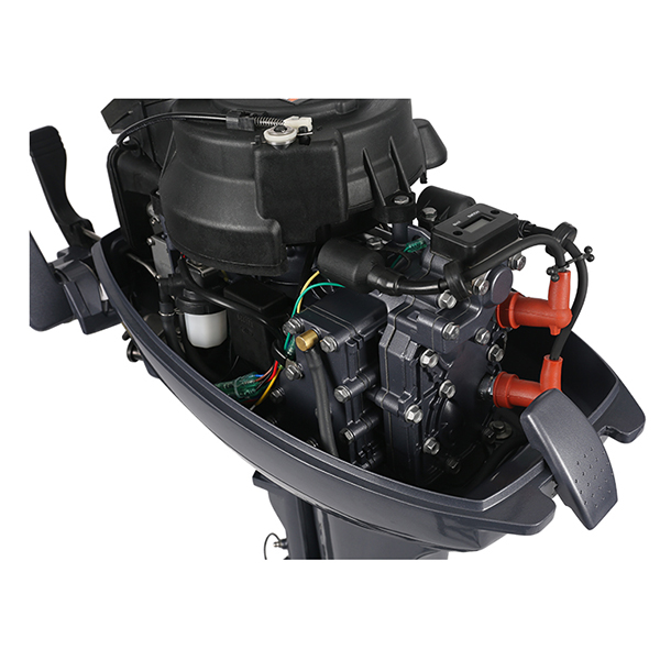 ЛОДОЧНЫЙ МОТОР ALLFA CG Т9,9 в Долгопрудном