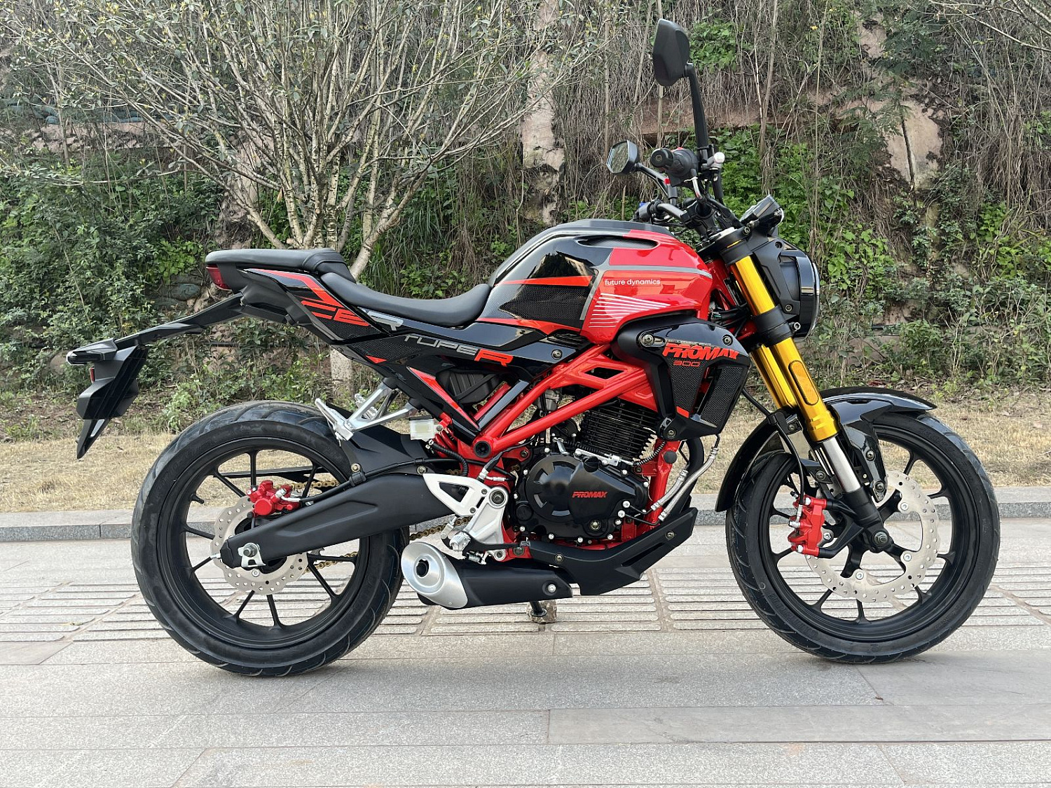 Мотоцикл PROMAX CB300 в Долгопрудном