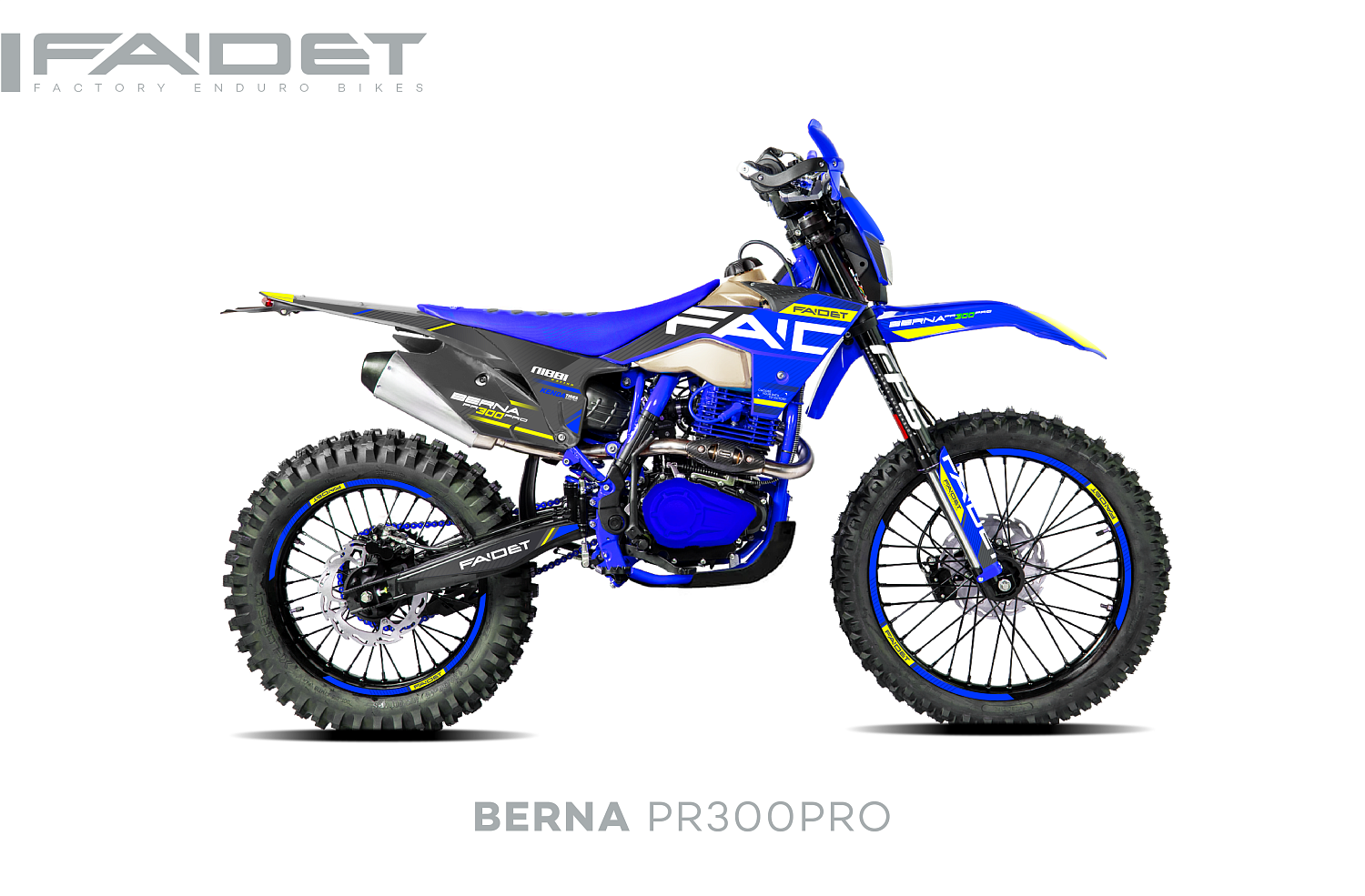 Кроссовый мотоцикл FAIDET BERNA PR300-PRO FPS в Долгопрудном