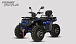 Квадроцикл PROMAX TAURUS 300 MAX-PRO LONG в Долгопрудном