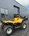 КВАДРОЦИКЛ IRBIS ATV 250  в Долгопрудном