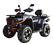 Квадроцикл MOTOLAND (МОТОЛЕНД) 300 MAX X в Долгопрудном