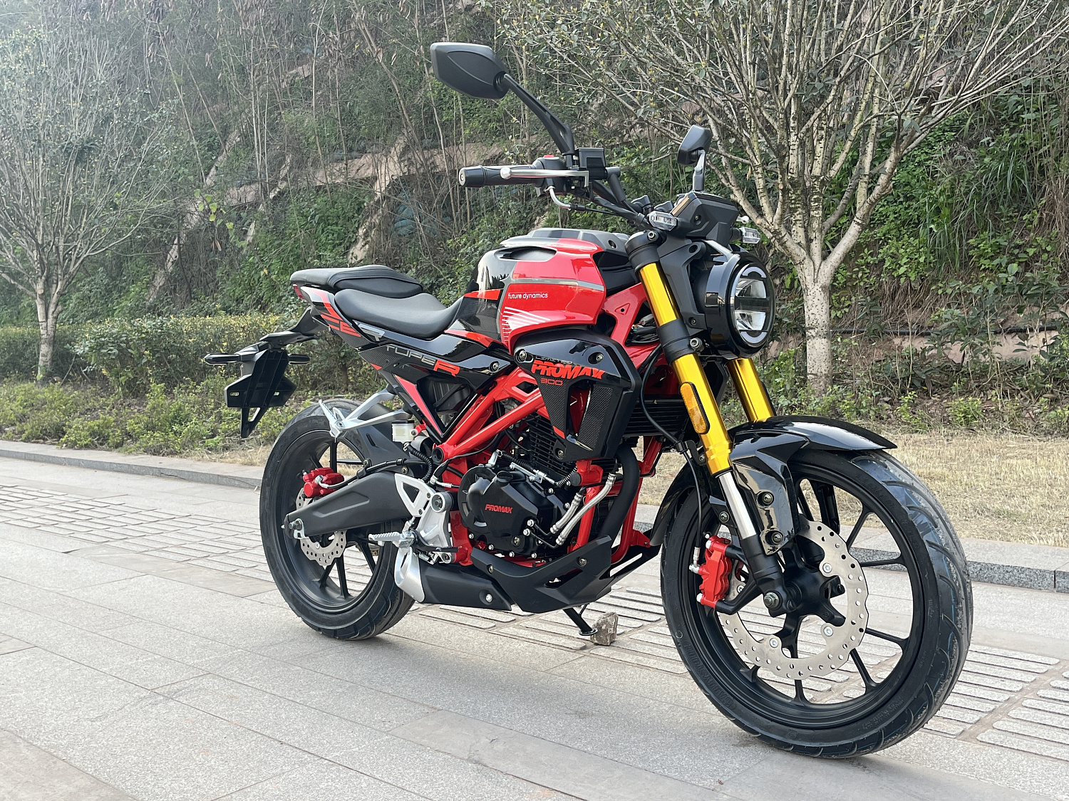 Мотоцикл PROMAX CB300 в Долгопрудном