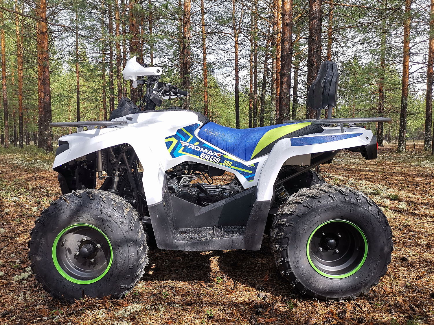 Квадроцикл PROMAX RENEGADE 280 (2025) в Долгопрудном