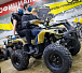 Квадроцикл PROMAX ATV 250 (2025) в Долгопрудном