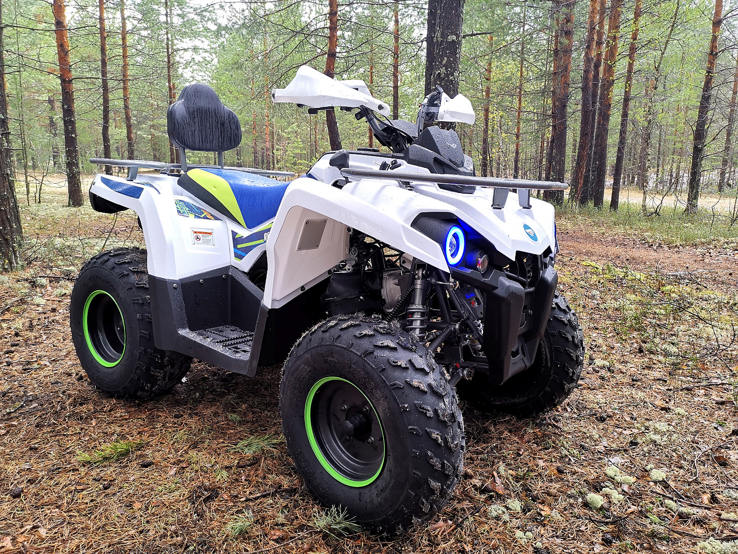Квадроцикл PROMAX RENEGADE 280 (2025) в Долгопрудном